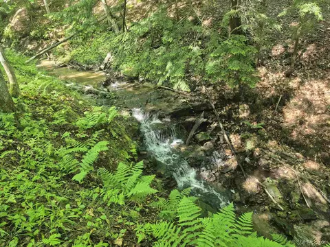 8 Acres Nestor, Munising, MI 49862 photo 26