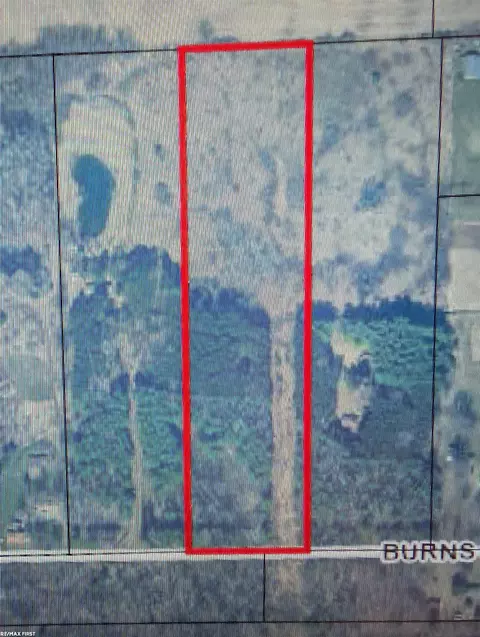 0 Burns Line, Croswell, MI 48422