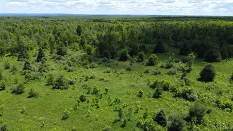 23171 Seppanen #TBD OFF END OF SEPPANEN ROAD, Nisula, MI 49952