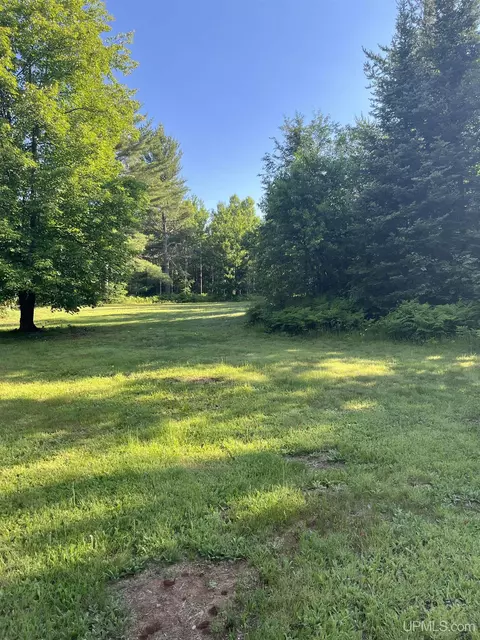 5925 Tasson, Ishpeming, MI 49849 photo 62