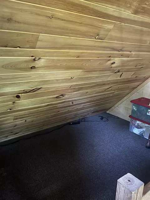 5925 Tasson, Ishpeming, MI 49849 photo 42