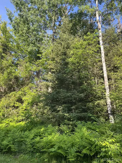 5925 Tasson, Ishpeming, MI 49849 photo 65