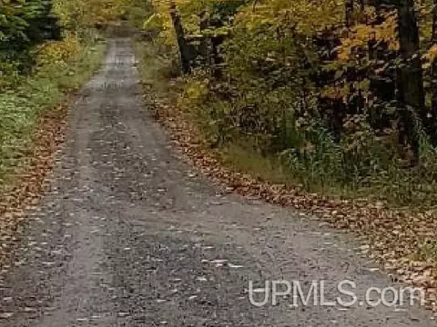 tbd Walts Rd, Iron Mountain, MI 49801