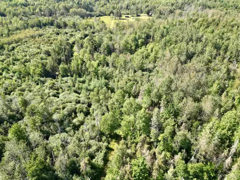 View/Area - 8357 School 16th Rd, Rapid River, MI 49878 photo 2 of 9