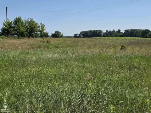 Garrison, Laingsburg, MI 48848