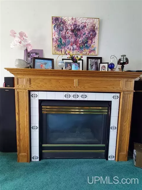 Other - 1249 Cedar, Hancock, MI 49930 photo 6 of 20