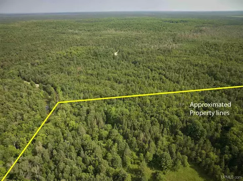 tbd Star Siding, Shingleton, MI 49884 photo 10