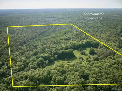 tbd Star Siding, Shingleton, MI 49884 photo 11