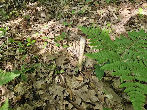 Other - 3020 Cedar, Harrison, MI 48625 photo 3 of 6