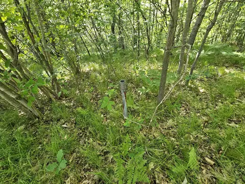 Other - 3020 Cedar, Harrison, MI 48625 photo 2 of 6