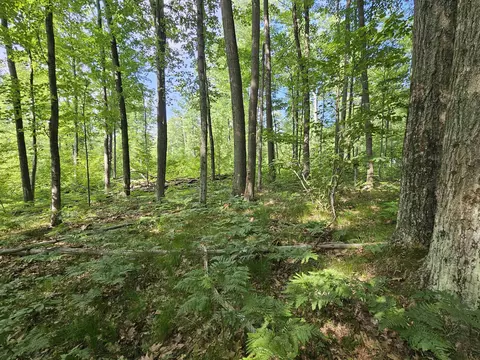 Exterior - 3020 Cedar, Harrison, MI 48625 photo 13 of 15