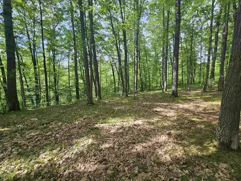 Exterior - 3020 Cedar, Harrison, MI 48625 photo 6 of 15