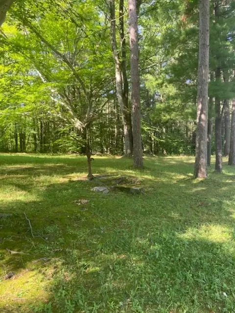 4988 E Wilson Rd, Harrison, MI 48625 photo 10