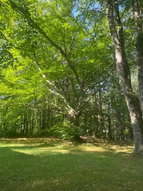 4988 E Wilson Rd, Harrison, MI 48625 photo 9