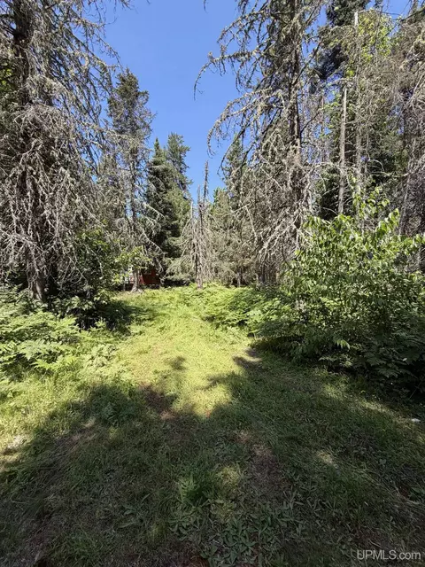tbd Red, Ishpeming, MI 49849 photo 8