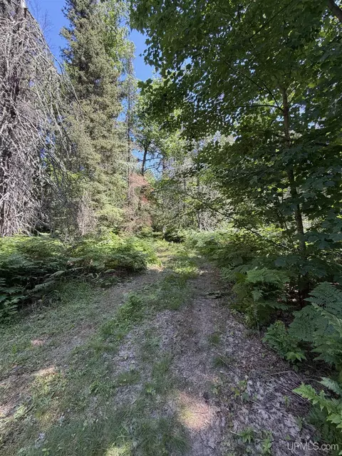 tbd Red, Ishpeming, MI 49849 photo 9