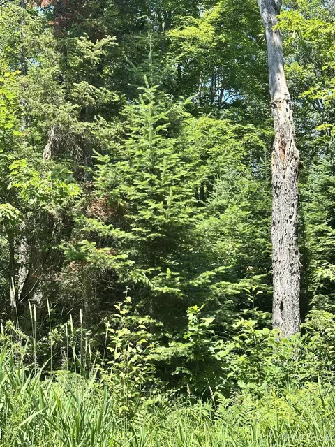 tbd Co Rd 482, Ishpeming, MI 49849 photo 6