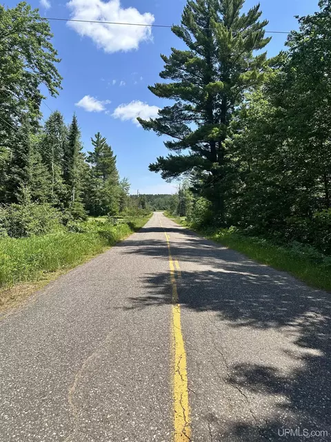 tbd Co Rd 482, Ishpeming, MI 49849 photo 2