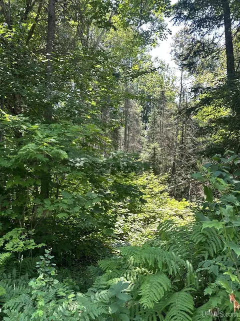 tbd Co Rd 482, Ishpeming, MI 49849 photo 5