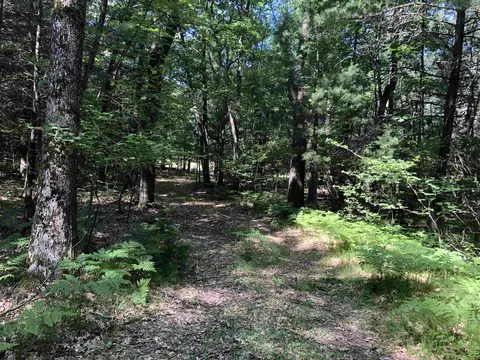tbd Peasley, Harrison, MI 48625 photo 8