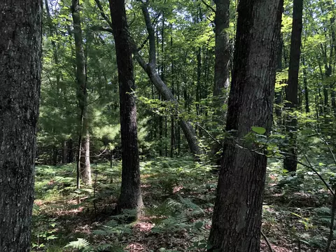 tbd Peasley, Harrison, MI 48625 photo 7