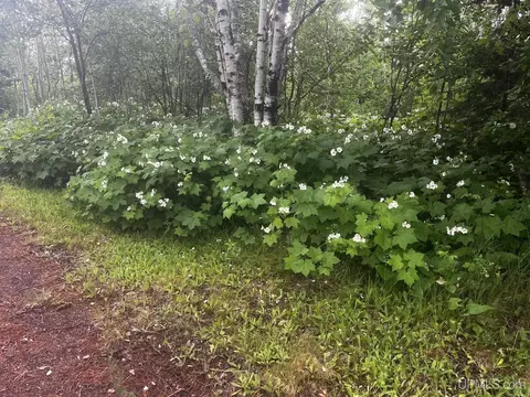 Other - 9237 Silver Riv, Mohawk, MI 49950 photo 14 of 14