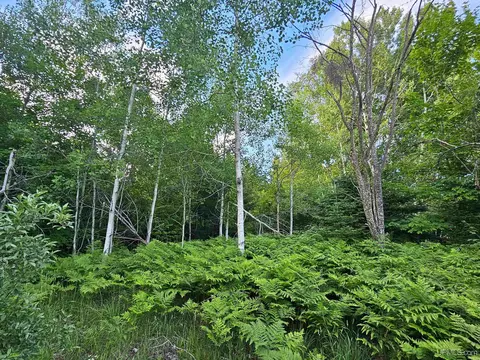 tbd Parcel M9 Applewood, Houghton, MI 49931