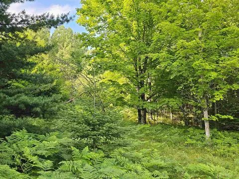 tbd Parcel M10 Applewood, Houghton, MI 49931