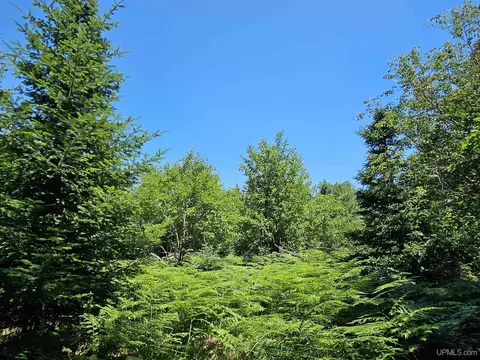 tbd Parcel M22 River Trl, Houghton, MI 49931