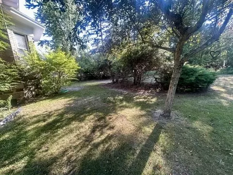 Exterior - 300 W Maple, Gladwin, MI 48624 photo 10 of 12