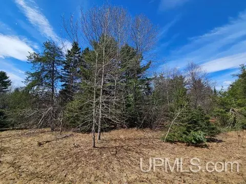tbd Us 41, Ishpeming, MI 49849 photo 9