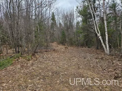40 Acres Off Co Rd Gx, Ishpeming, MI 49849 photo 3