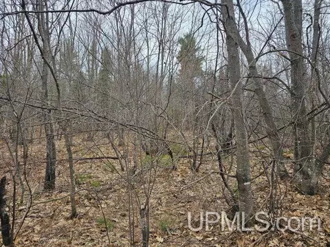 40 Acres Off Co Rd Gx, Ishpeming, MI 49849 photo 2