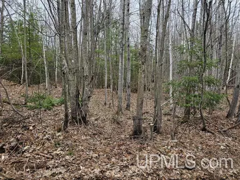 40 Acres Off Co Rd Gx, Ishpeming, MI 49849 photo 4