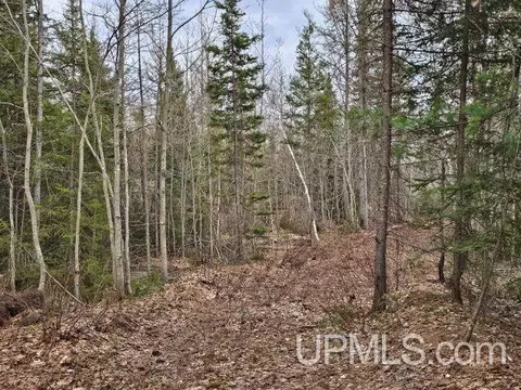 120 Acres Off Co Rd Gx, Ishpeming, MI 49849 photo 7