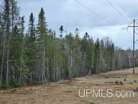 120 Acres Off Co Rd Gx, Ishpeming, MI 49849 photo 6