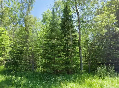 0 Sawyer, Rose City, MI 48654