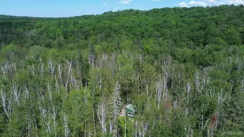 Forest 13, Wetmore, MI 49895