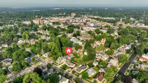 View/Area - 317 E Maple, Adrian, MI 49221 photo 3 of 4