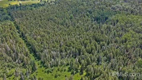 tbd Us 41, Rapid River, MI 49878 photo 10