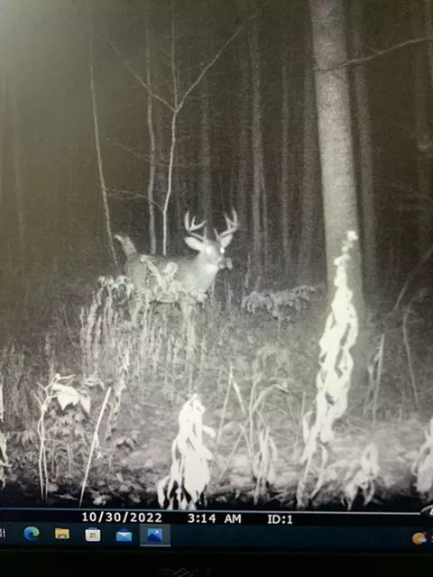 Other - 1871 W Youngs, Gladwin, MI 48624 photo 28 of 33