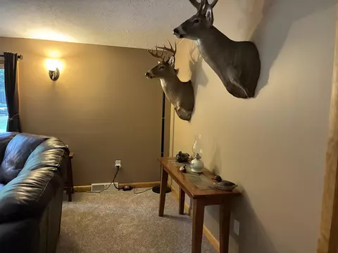 Living - 1871 W Youngs, Gladwin, MI 48624 photo 5 of 6