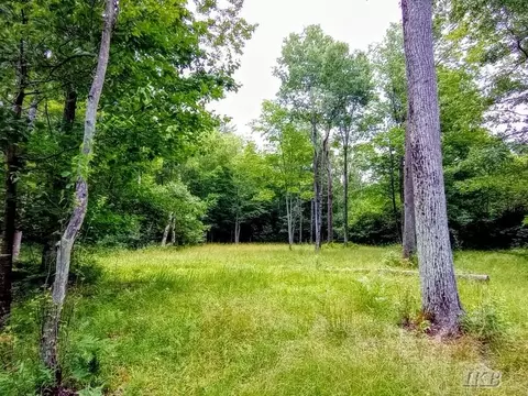 Exterior - 5341 N M-30, Gladwin, MI 48624 photo 36 of 61