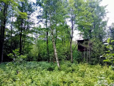 Exterior - 5341 N M-30, Gladwin, MI 48624 photo 34 of 61