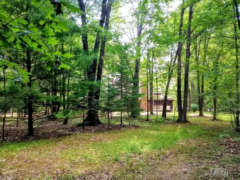 Exterior - 5341 N M-30, Gladwin, MI 48624 photo 44 of 61