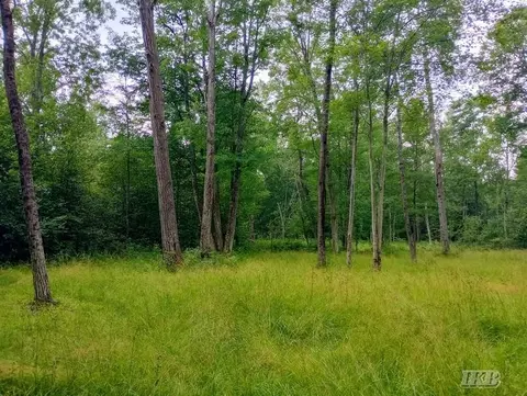 Exterior - 5341 N M-30, Gladwin, MI 48624 photo 31 of 61