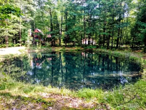 Exterior - 5341 N M-30, Gladwin, MI 48624 photo 4 of 61