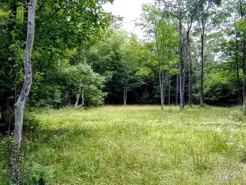 Exterior - 5341 N M-30, Gladwin, MI 48624 photo 37 of 61