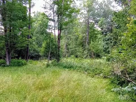 Exterior - 5341 N M-30, Gladwin, MI 48624 photo 38 of 61