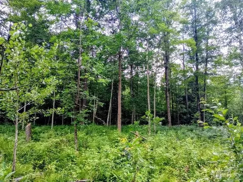 Exterior - 5341 N M-30, Gladwin, MI 48624 photo 33 of 61